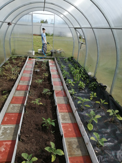 Агротекстиль Agrojutex 100г/м2 - 1x30м