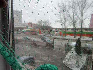 Сетка от птиц (Китай)
